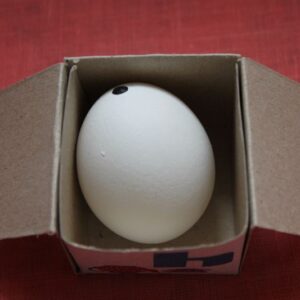 Яйце для писанки в коробці